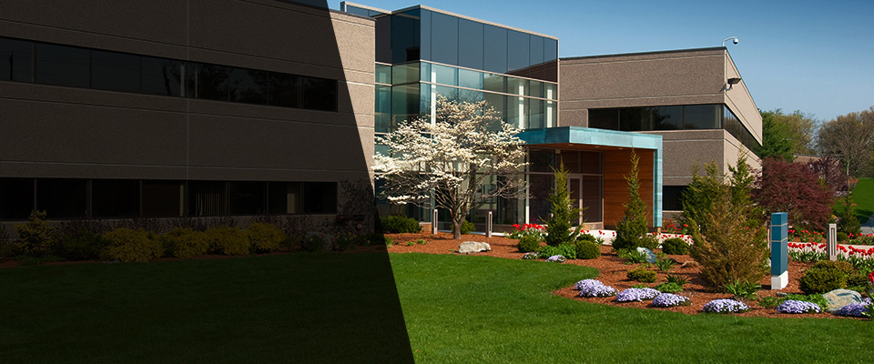 Jeannette Landscapers