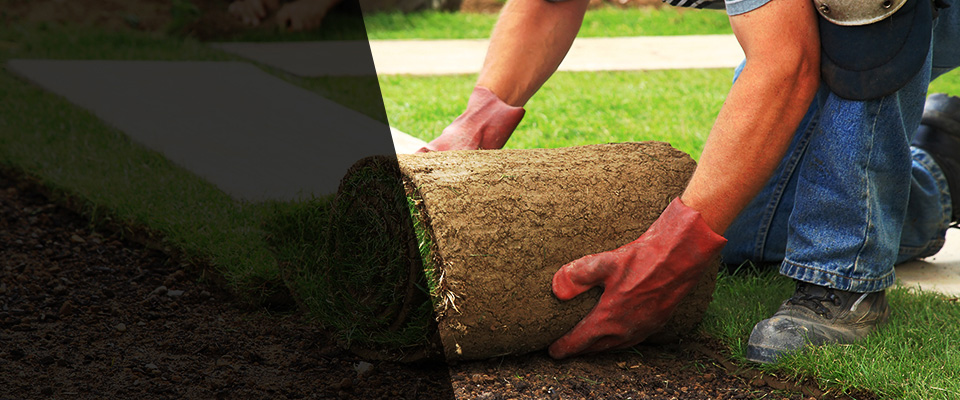 Jeannette Landscapers